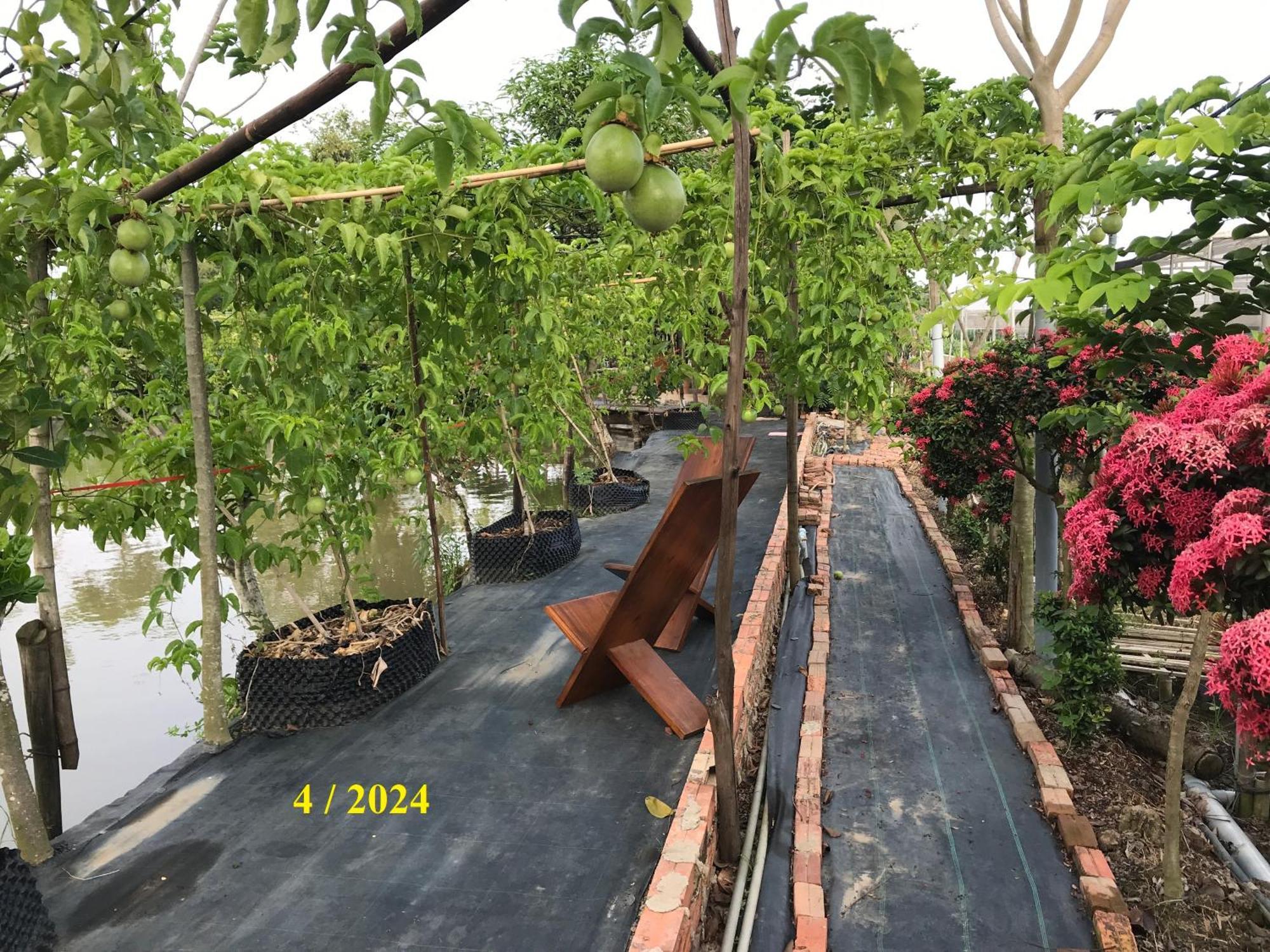 Maison En Bambou Phong-Le Vent Sa Dec Exterior foto
